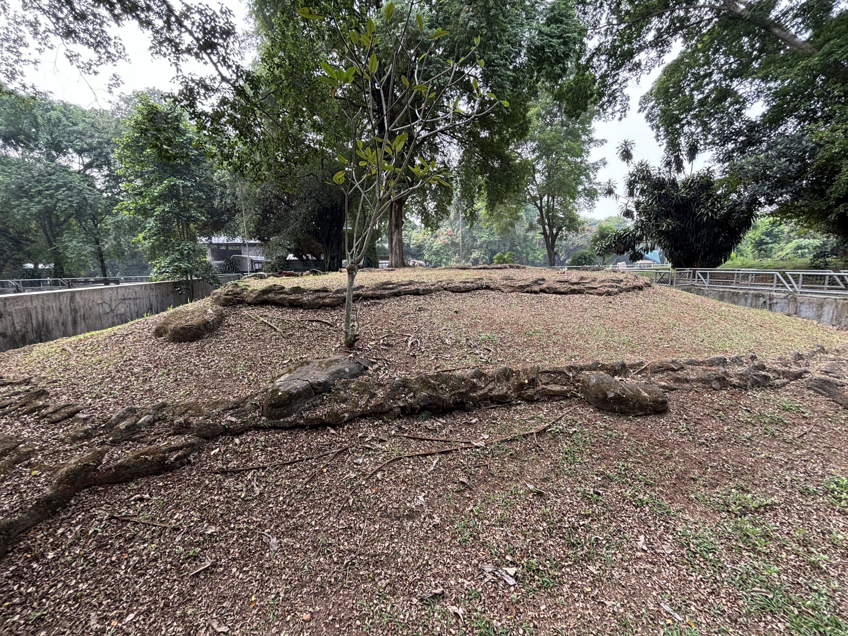 Asian Water Monitor Exhibit