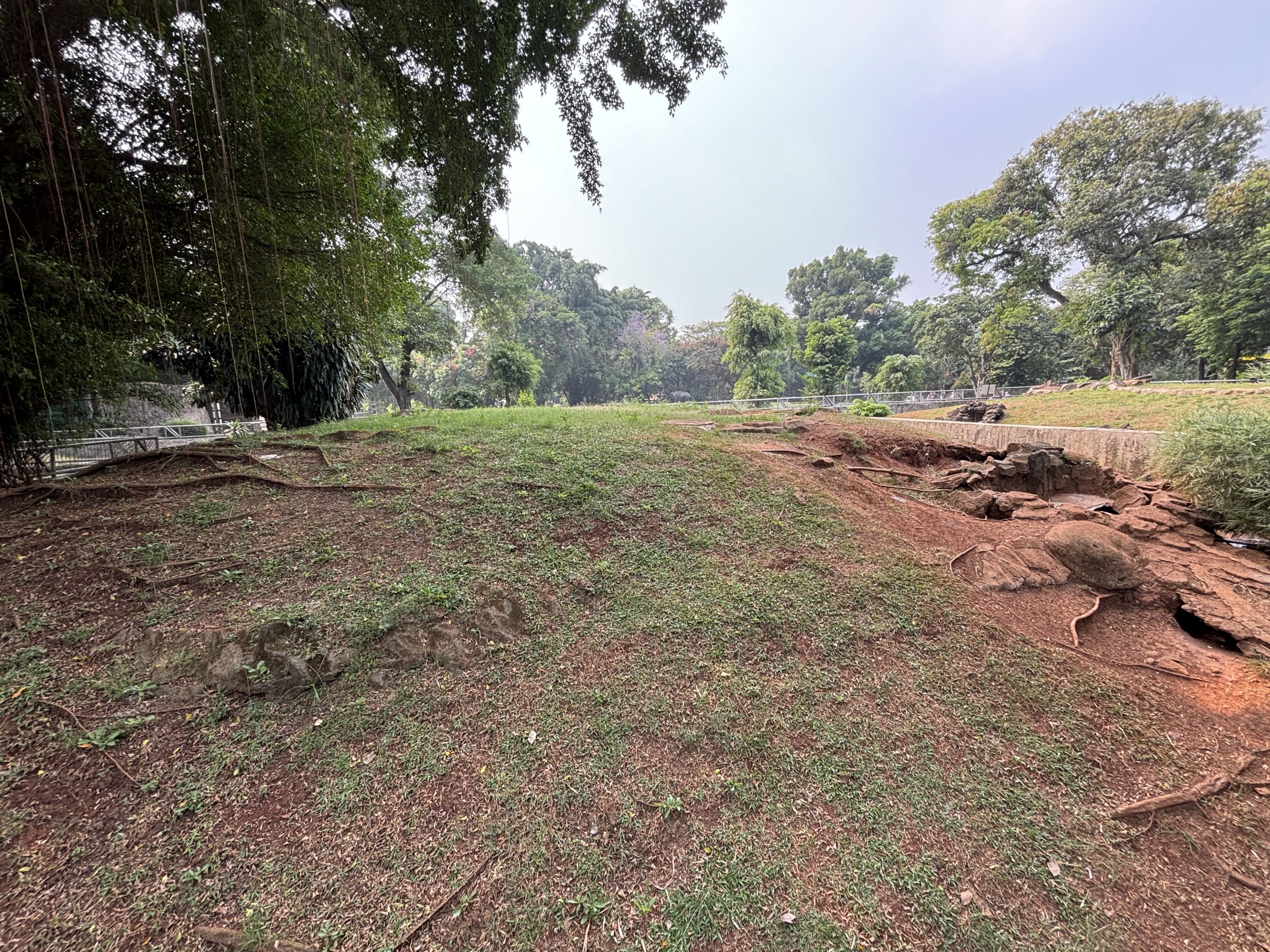 Asian Water Monitor Exhibit