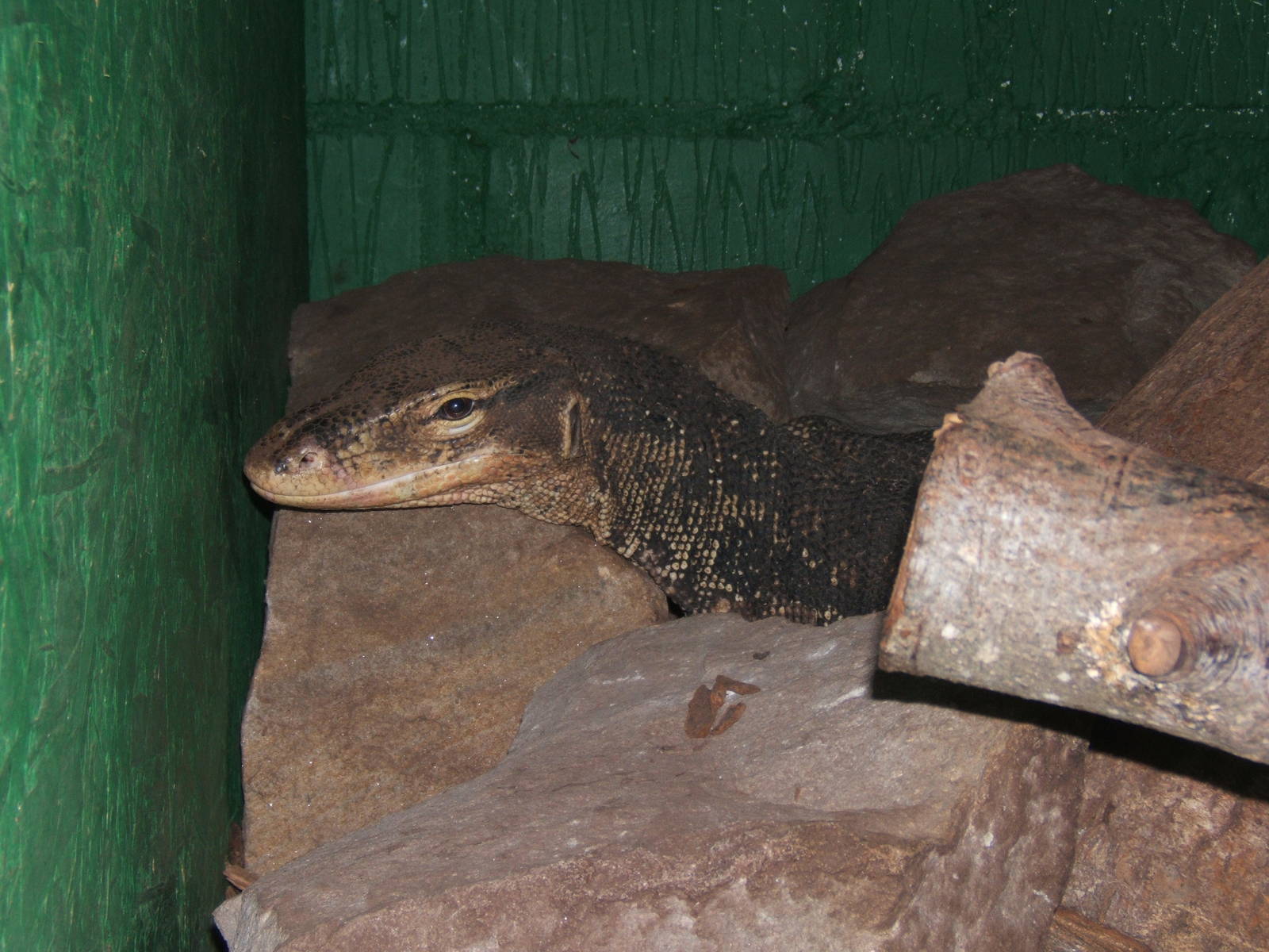 Asian Water Monitor