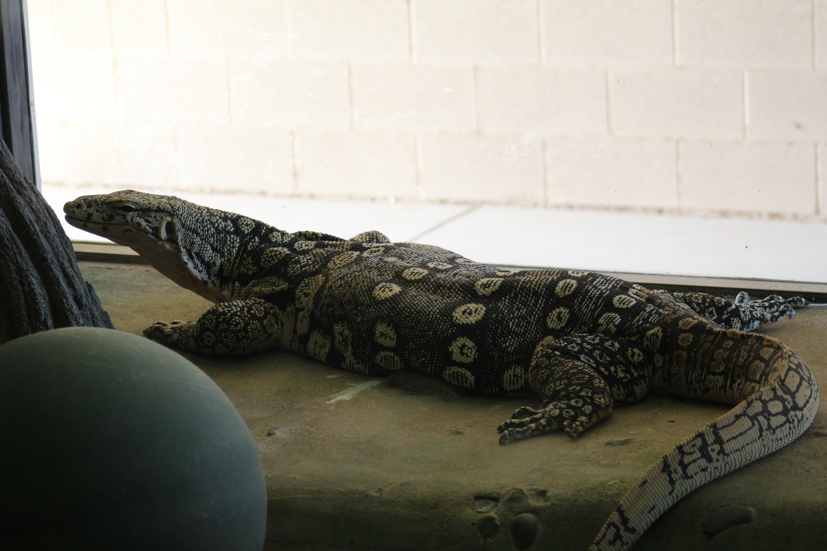 Asian Water Monitor