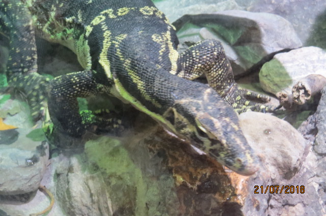 Asian Water Monitor