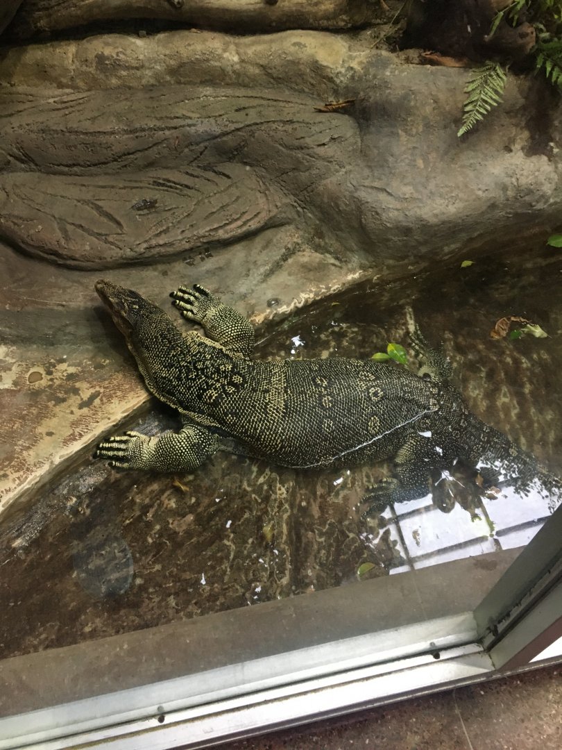 Asian Water Monitor