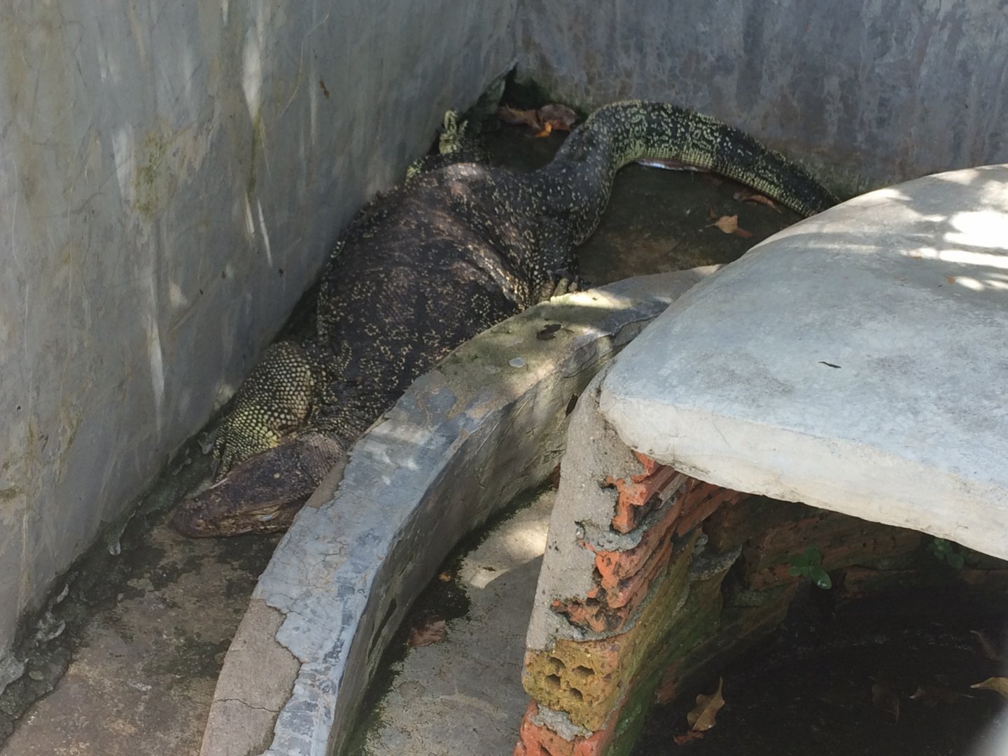Asian Water Monitor