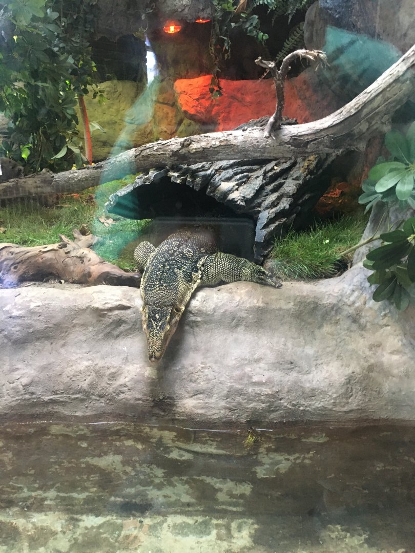 Asian Water Monitor