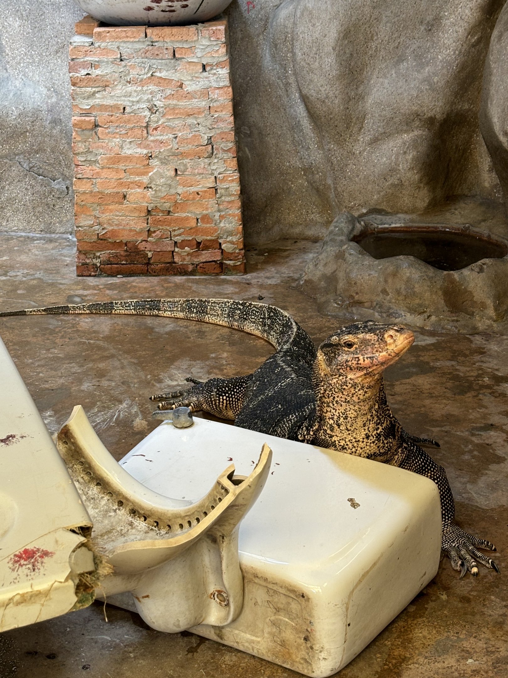 Asian Water Monitor