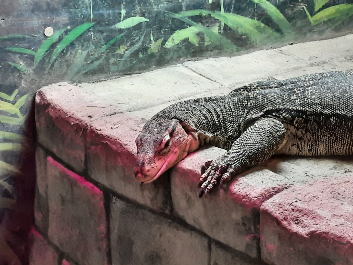 Asian Water Monitor