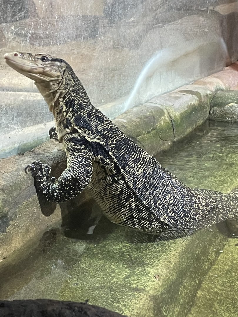Asian Water Monitor