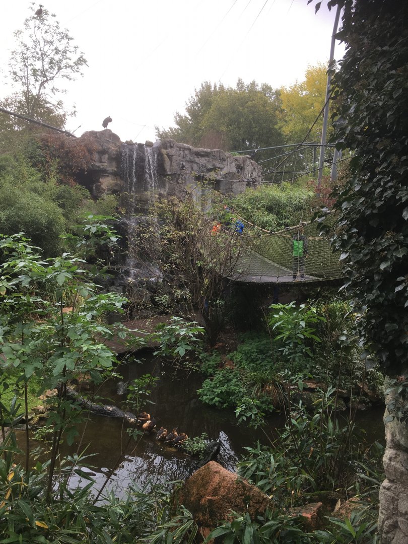 Asian waterfall aviary