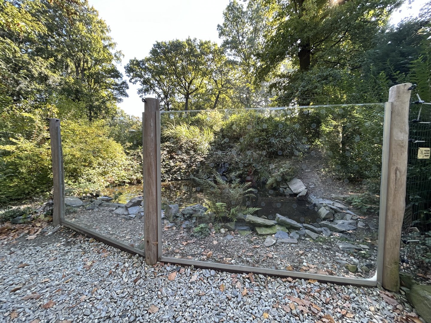 Asian Waterfowl Exhibit