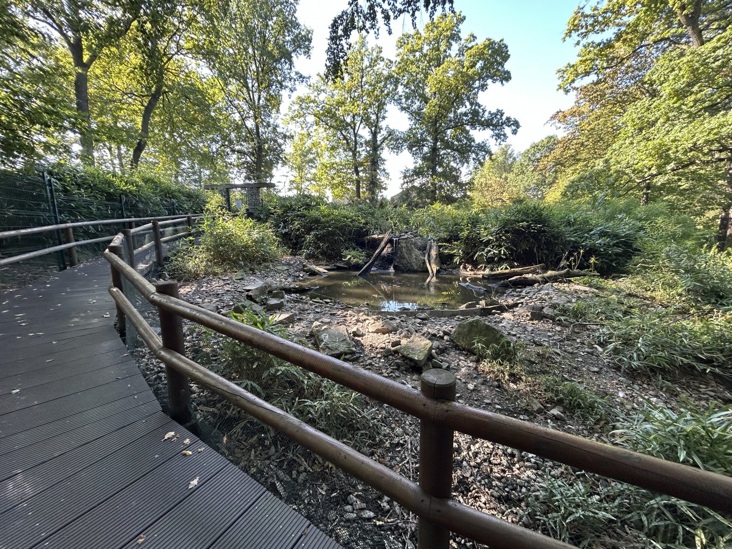 Asian Waterfowl Exhibit