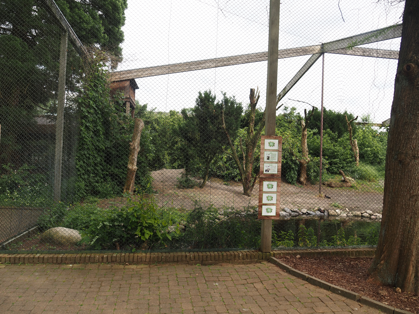 Asian wetland aviary, 2024-05-21
