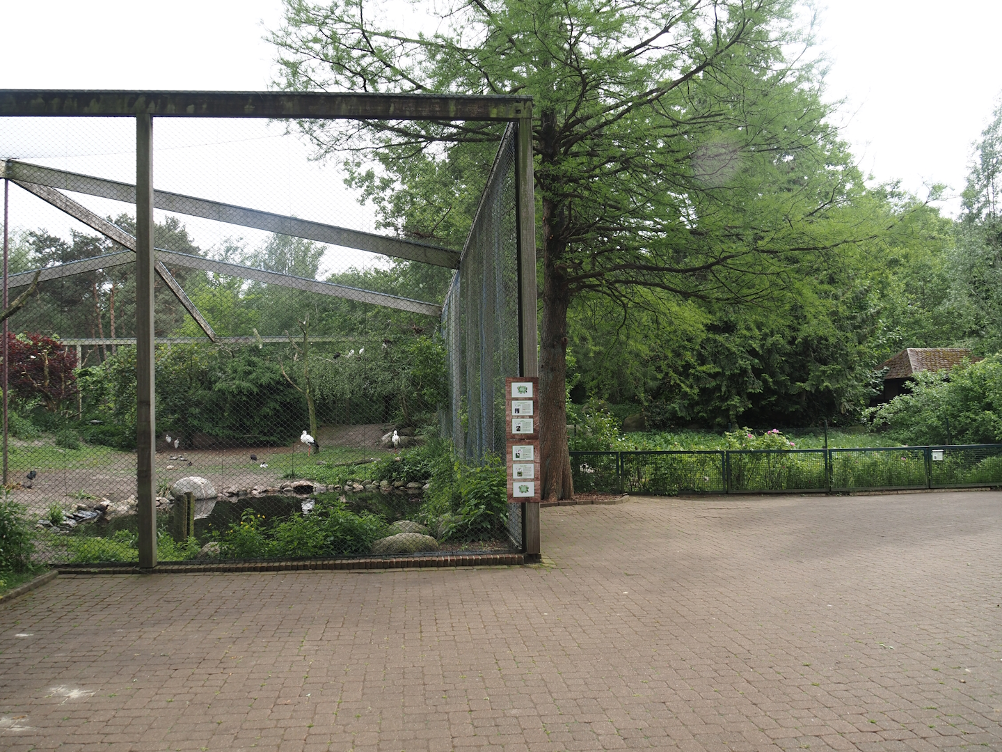 Asian wetland aviary and Marabou exhibit,  2024-05-21