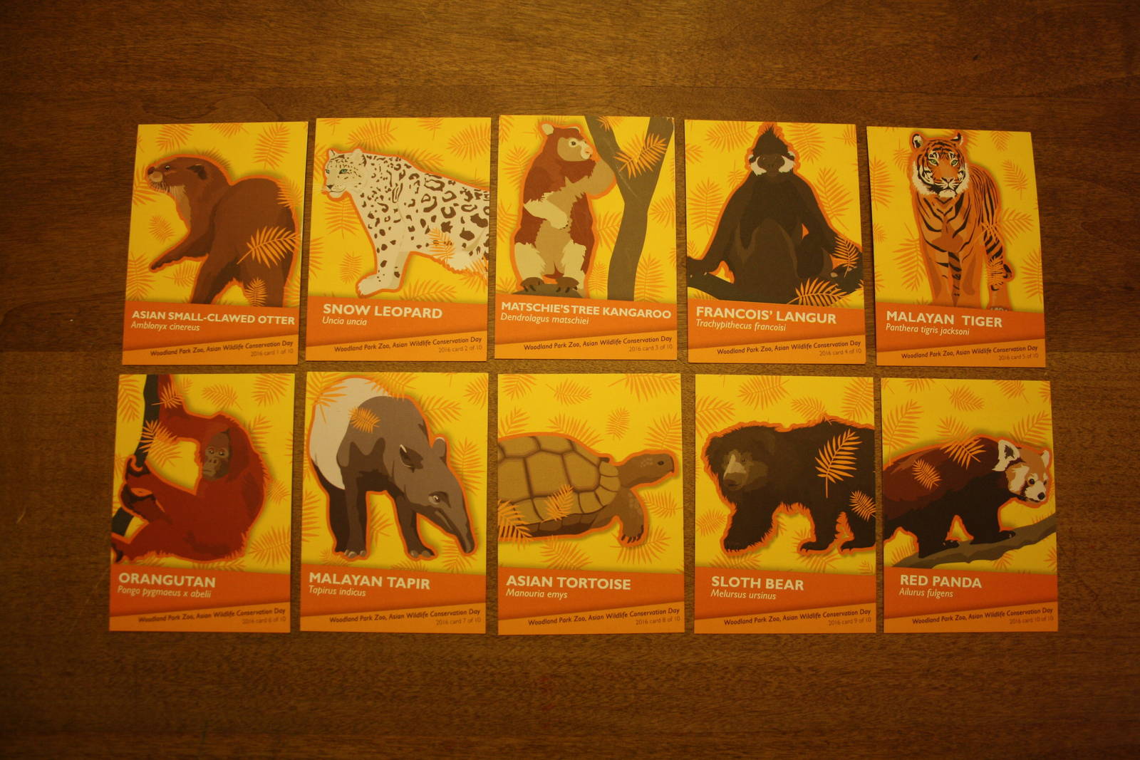 Asian Wildlife Conservation Day Animal Cards (one day event featuring a spe