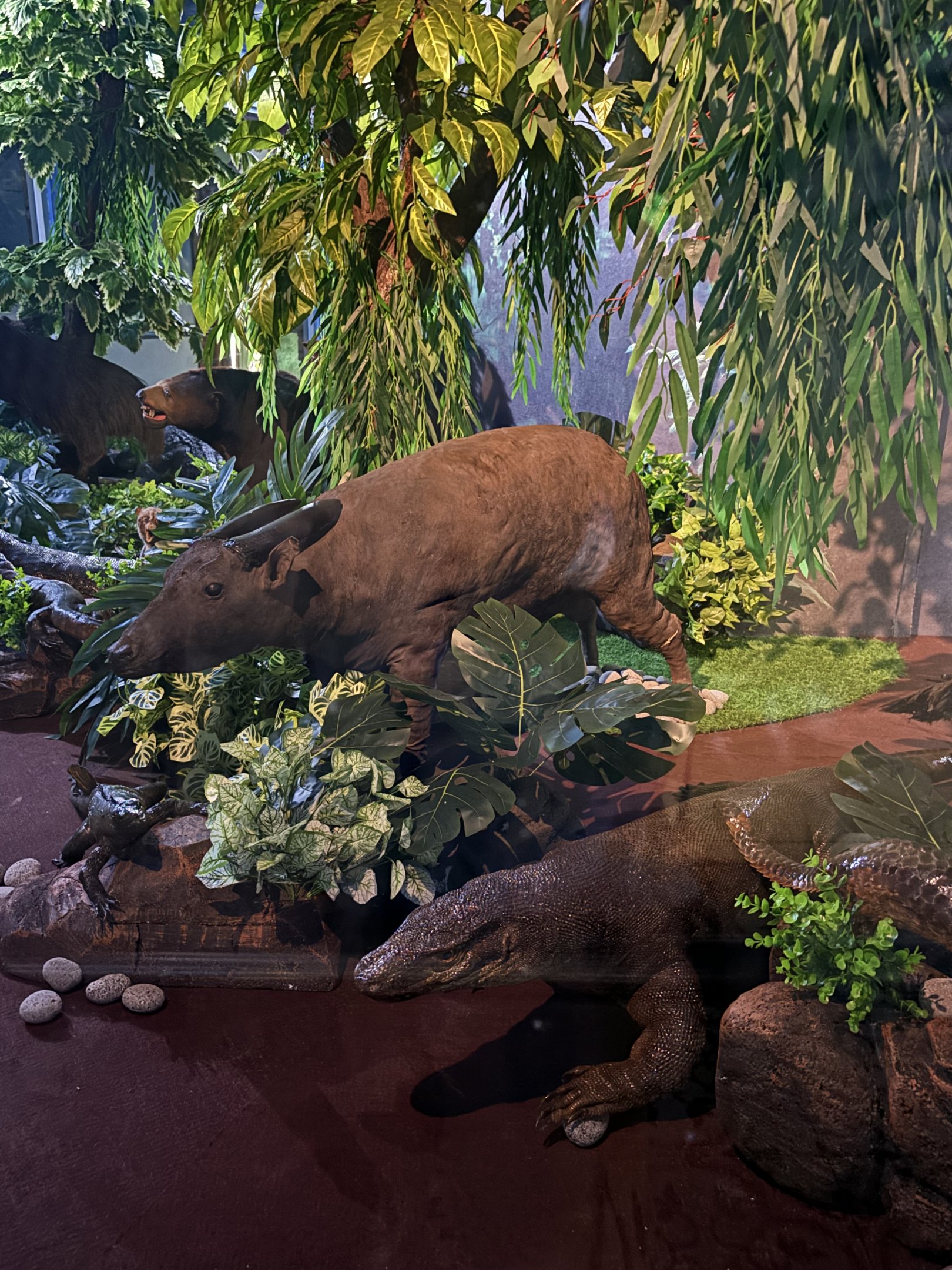 Asian Wildlife Diorama