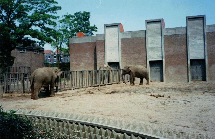 asian_elephants_Artis_1990