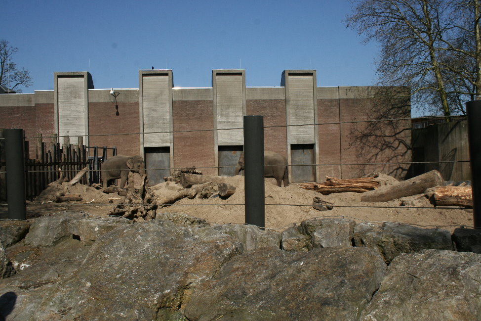Asian_elephants_enclosure3