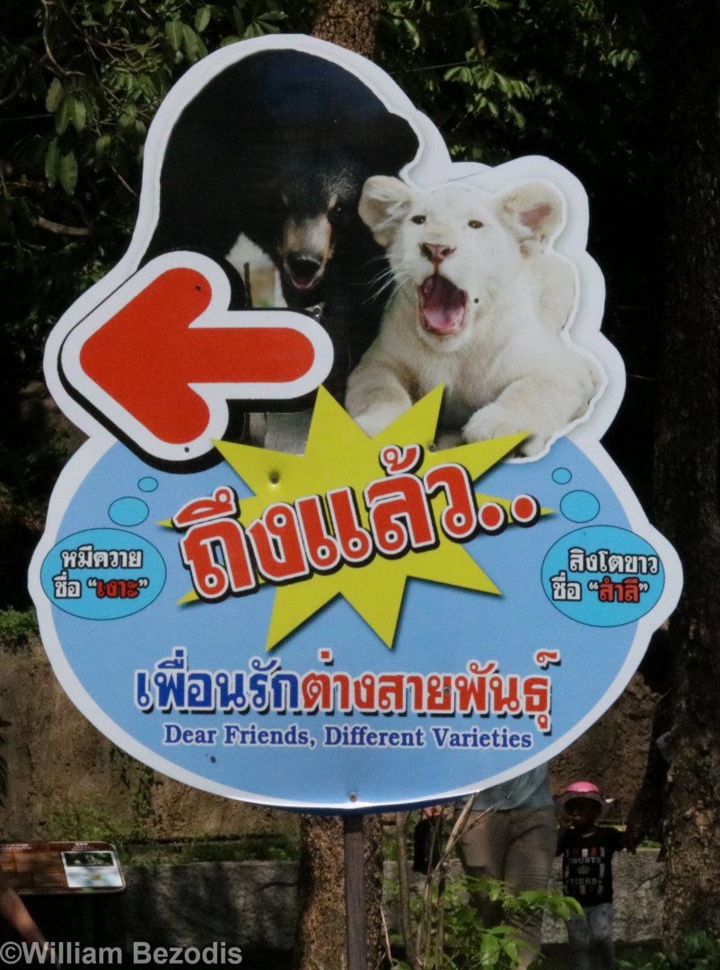 Asiatic Black Bear and Lion Sign