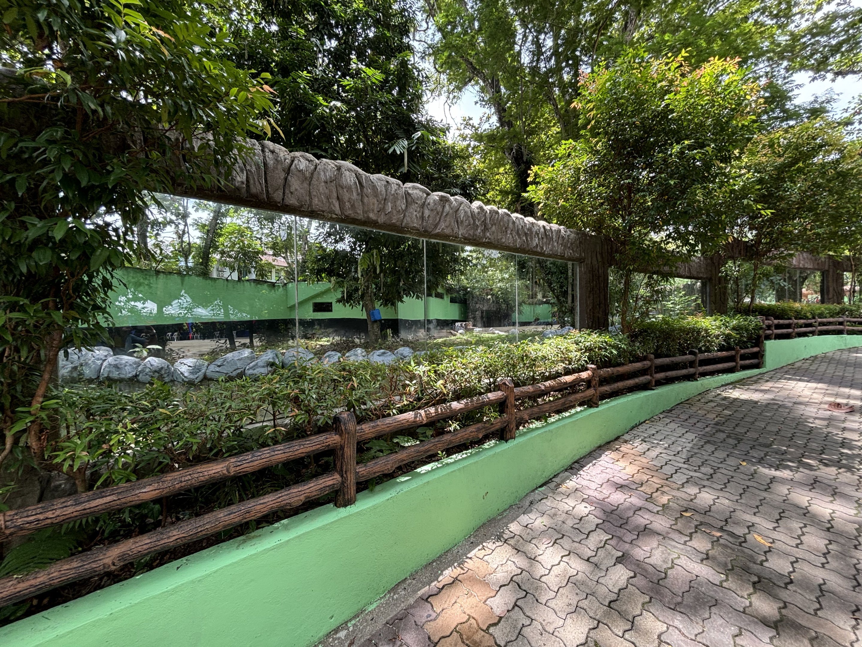 Asiatic Black Bear/Brown Bear Rotational Exhibit