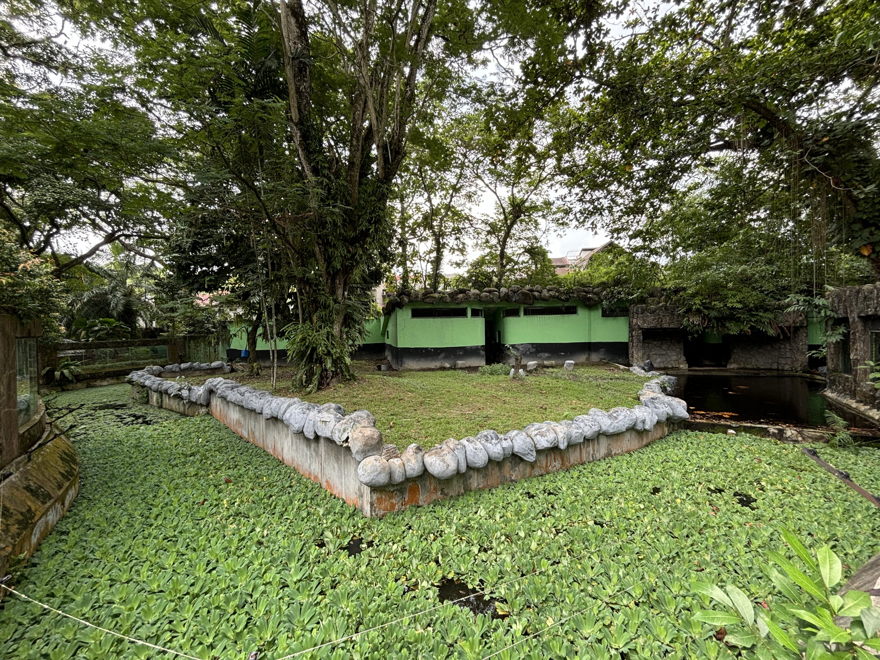 Asiatic Black Bear/Brown Bear Rotational Exhibit