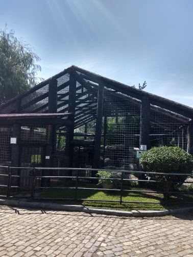 Asiatic Black Bear Cage