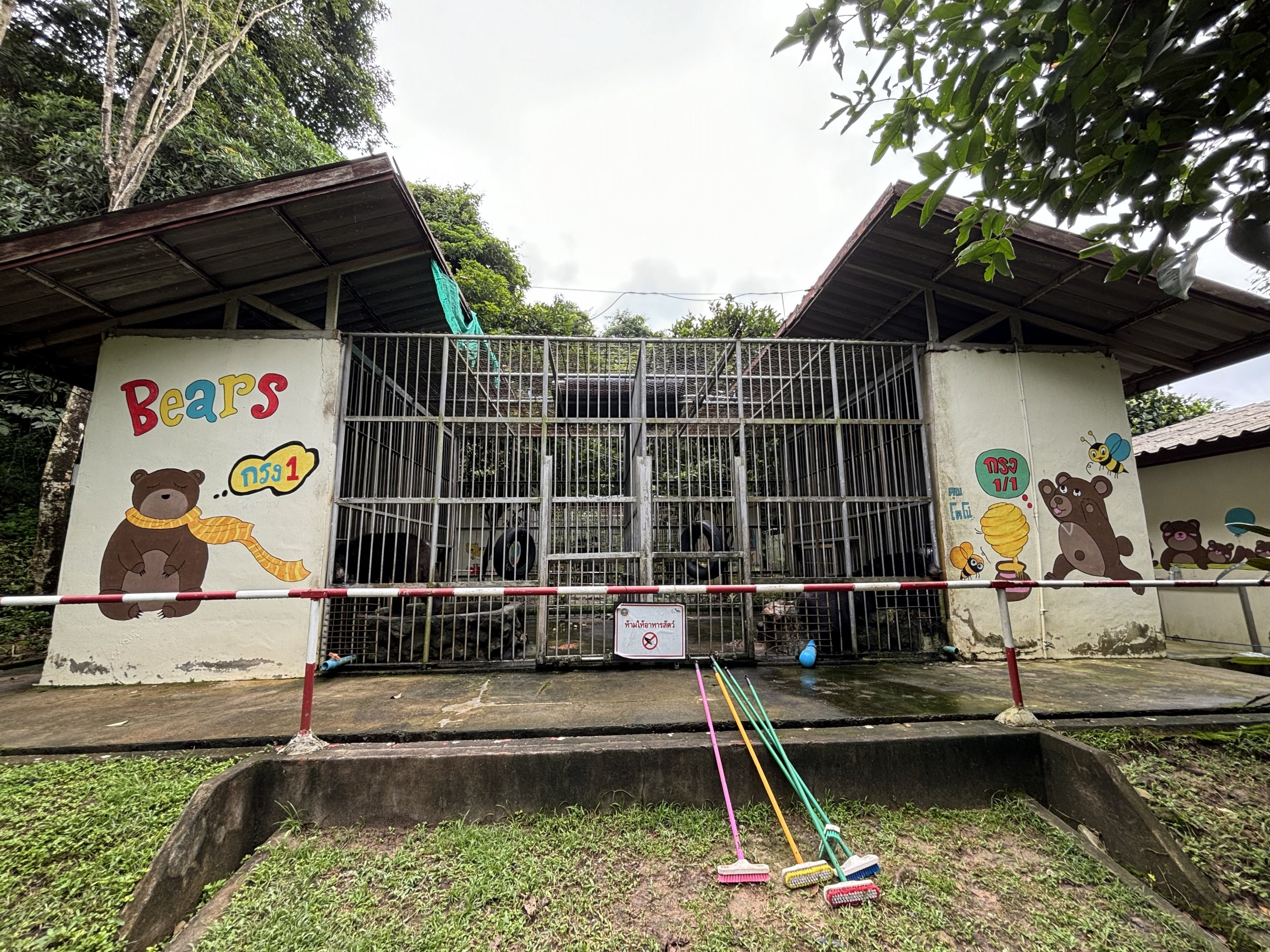 Asiatic Black Bear Cages