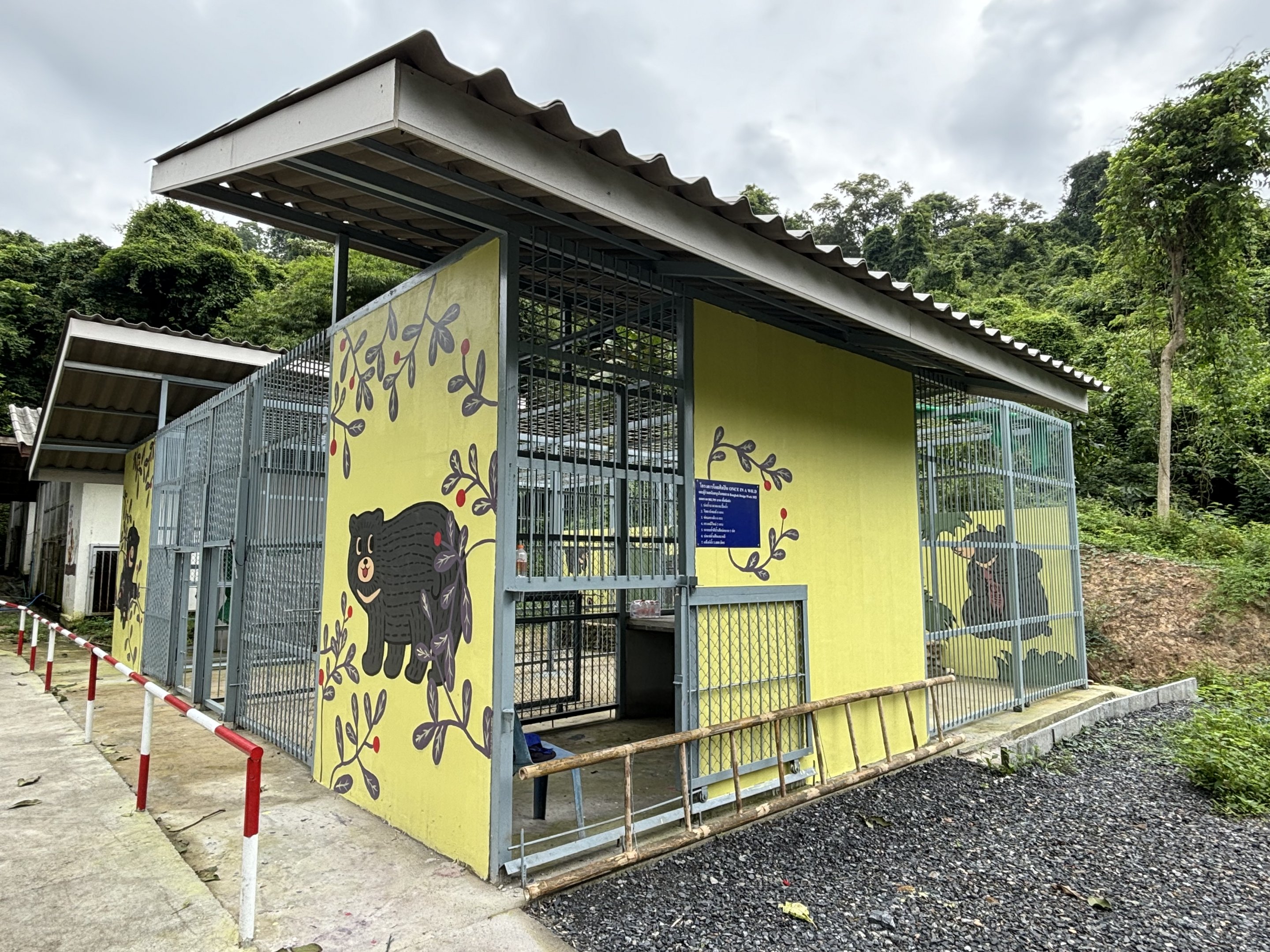 Asiatic Black Bear Cages