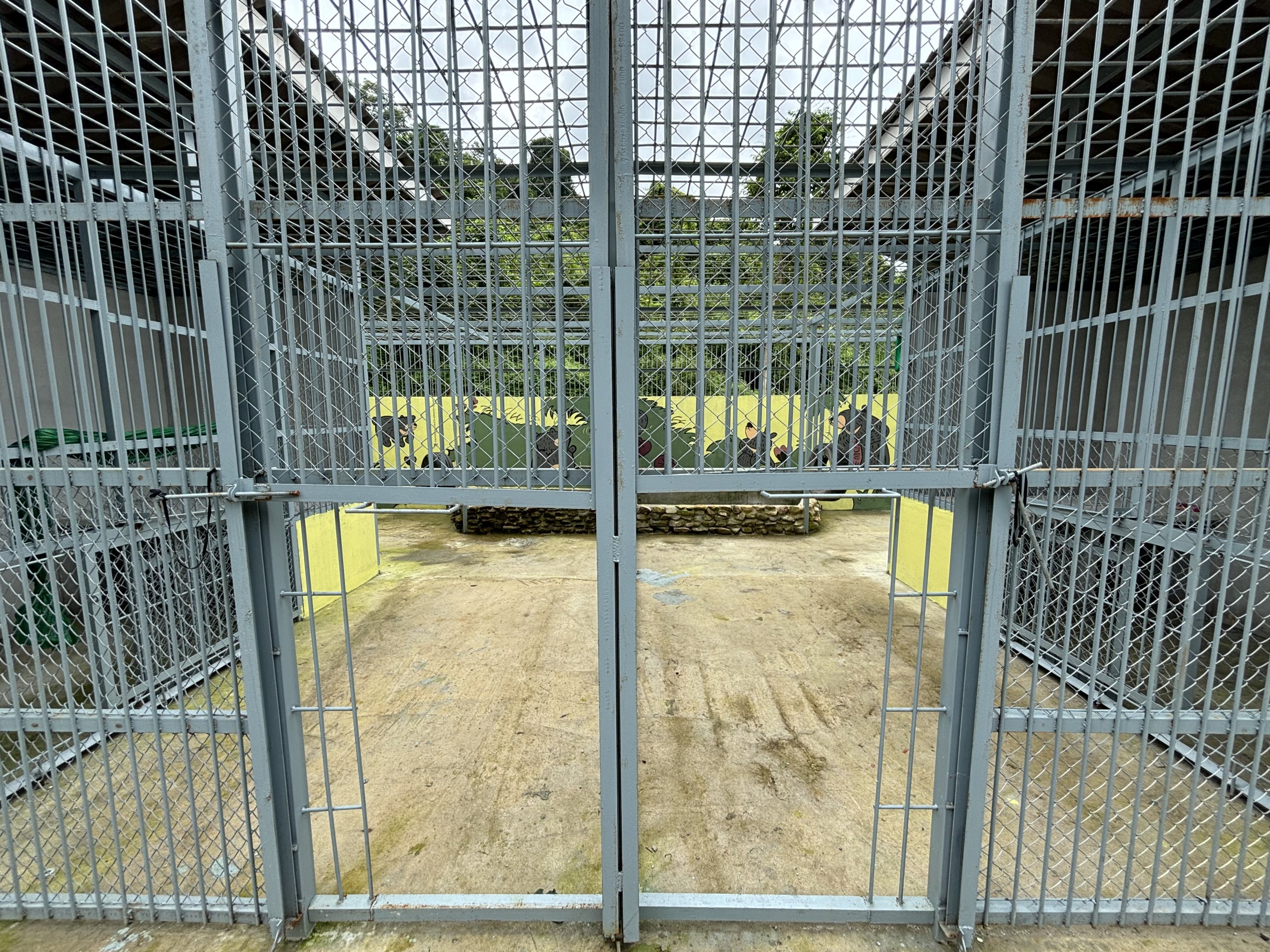 Asiatic Black Bear Cages