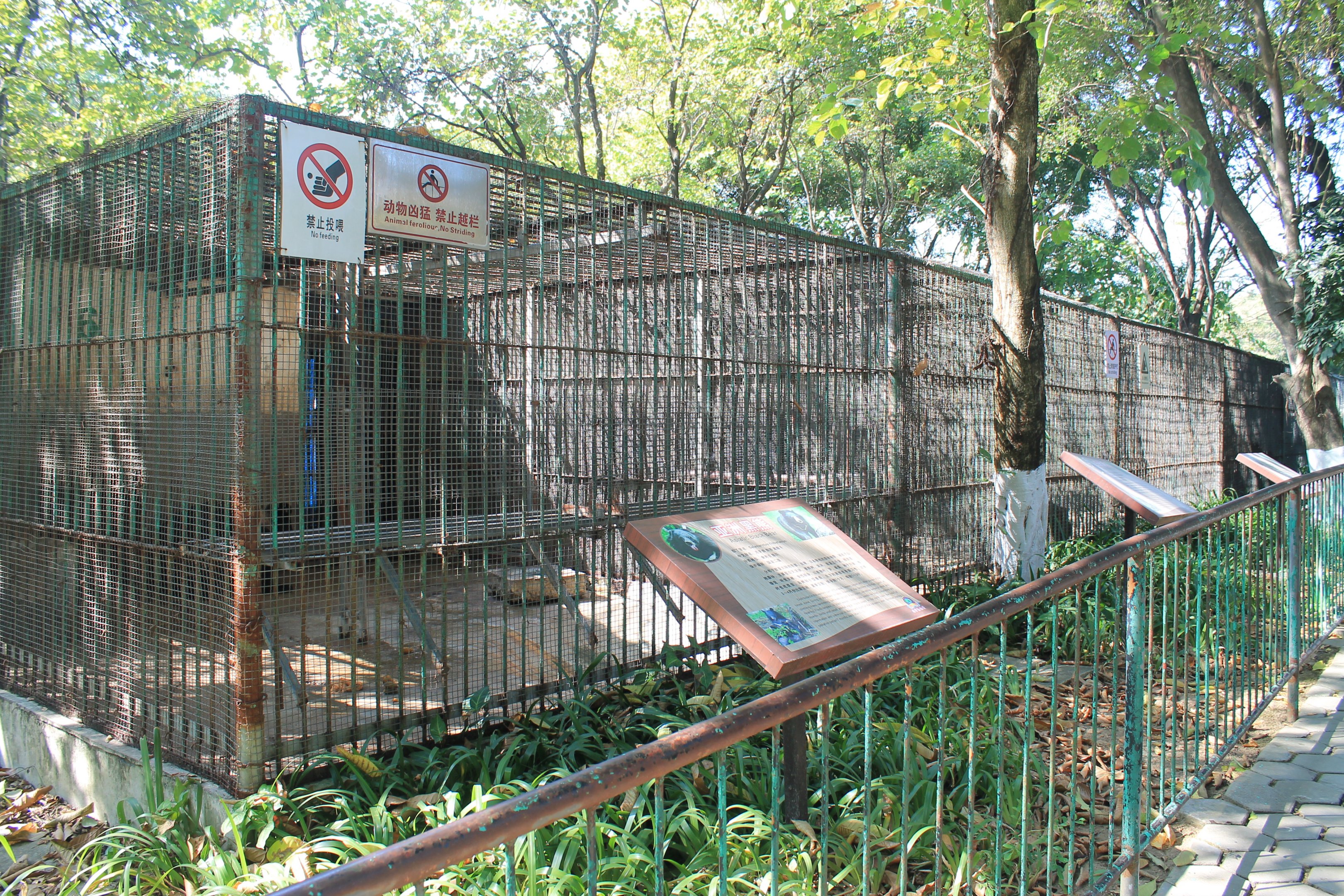Asiatic Black Bear cages