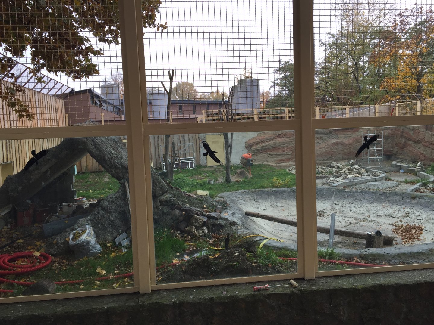 Asiatic black bear enclosure 10.2020.