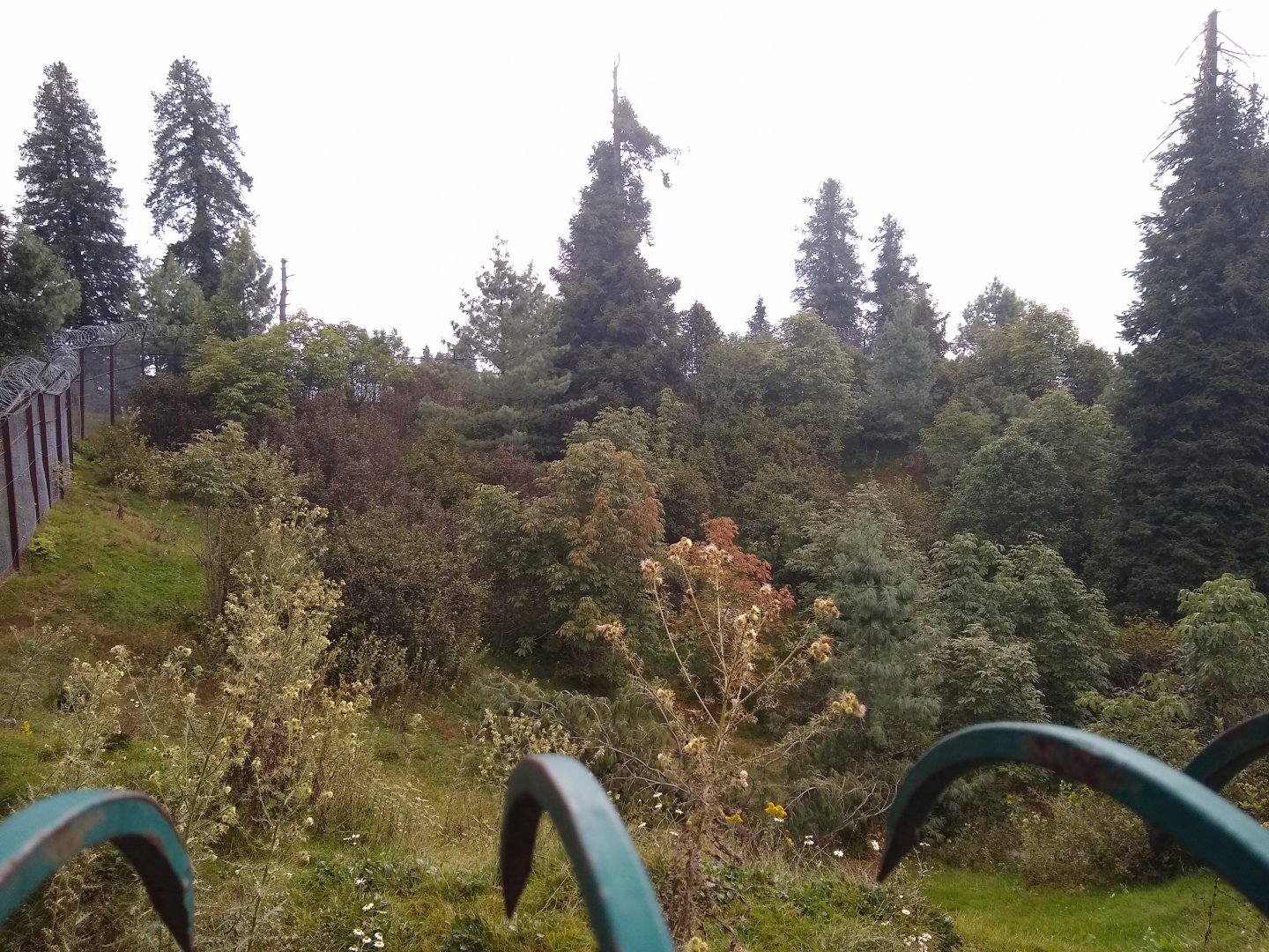 Asiatic Black Bear enclosure - Lalazar Wildlife Park 28/9/2019