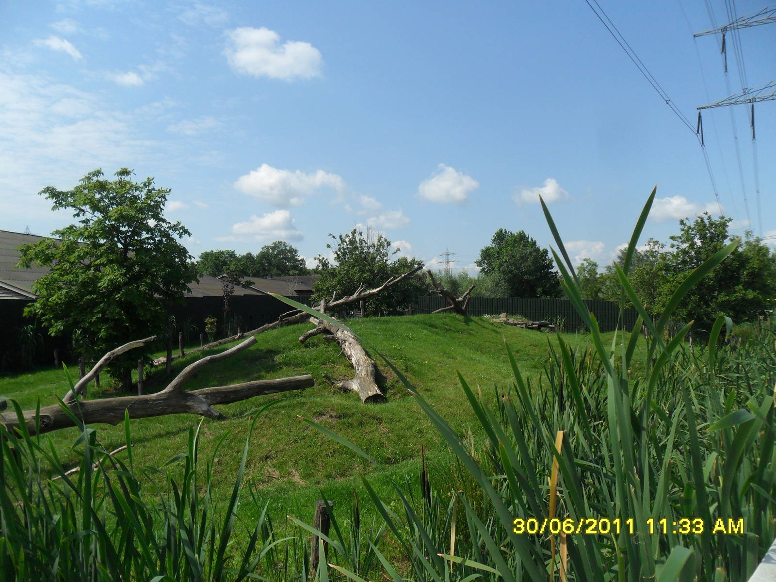 Asiatic Black bear enclosure.