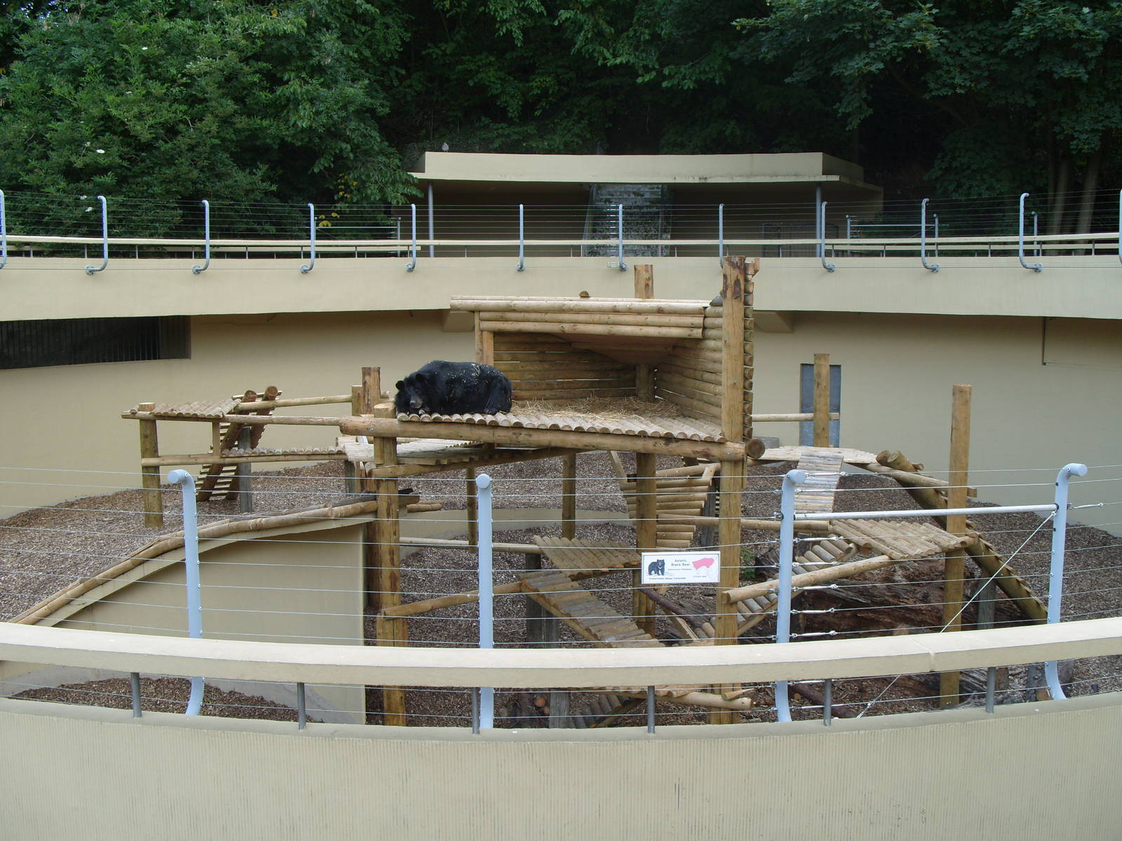 ASIATIC BLACK BEAR ENCLOSURE