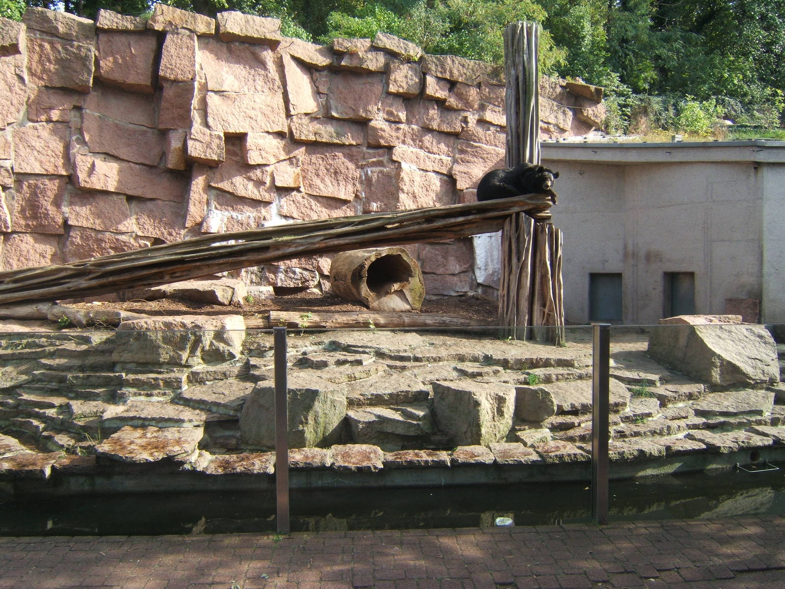 Asiatic Black Bear enclosure