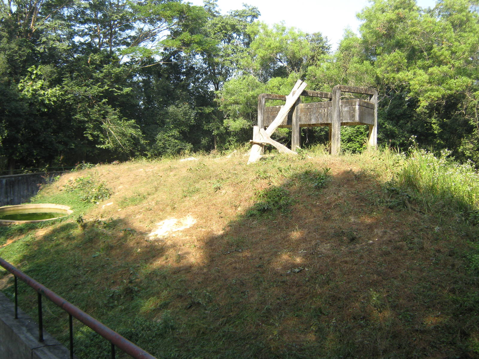 Asiatic Black Bear enclosure