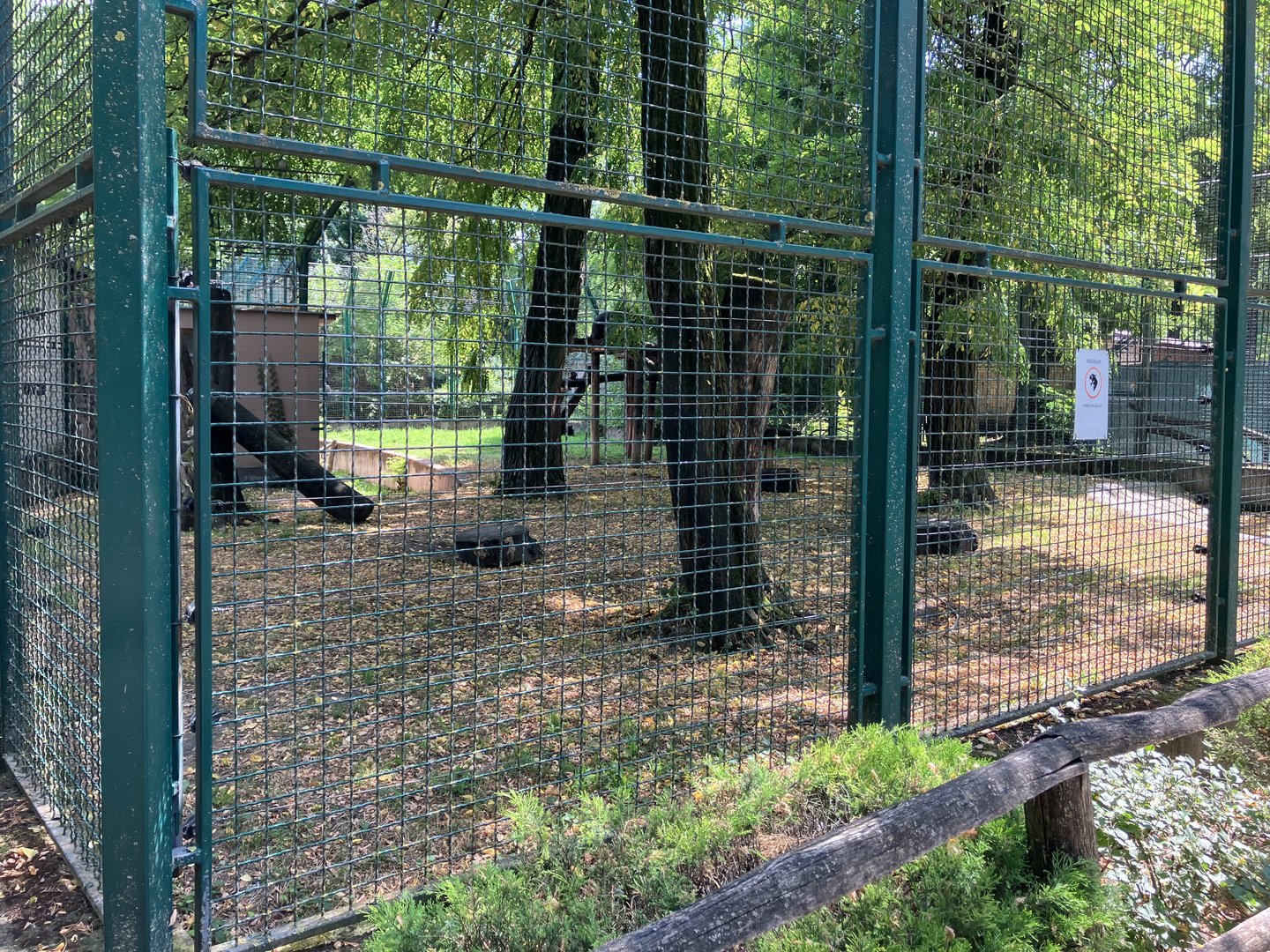 Asiatic black bear enclosure