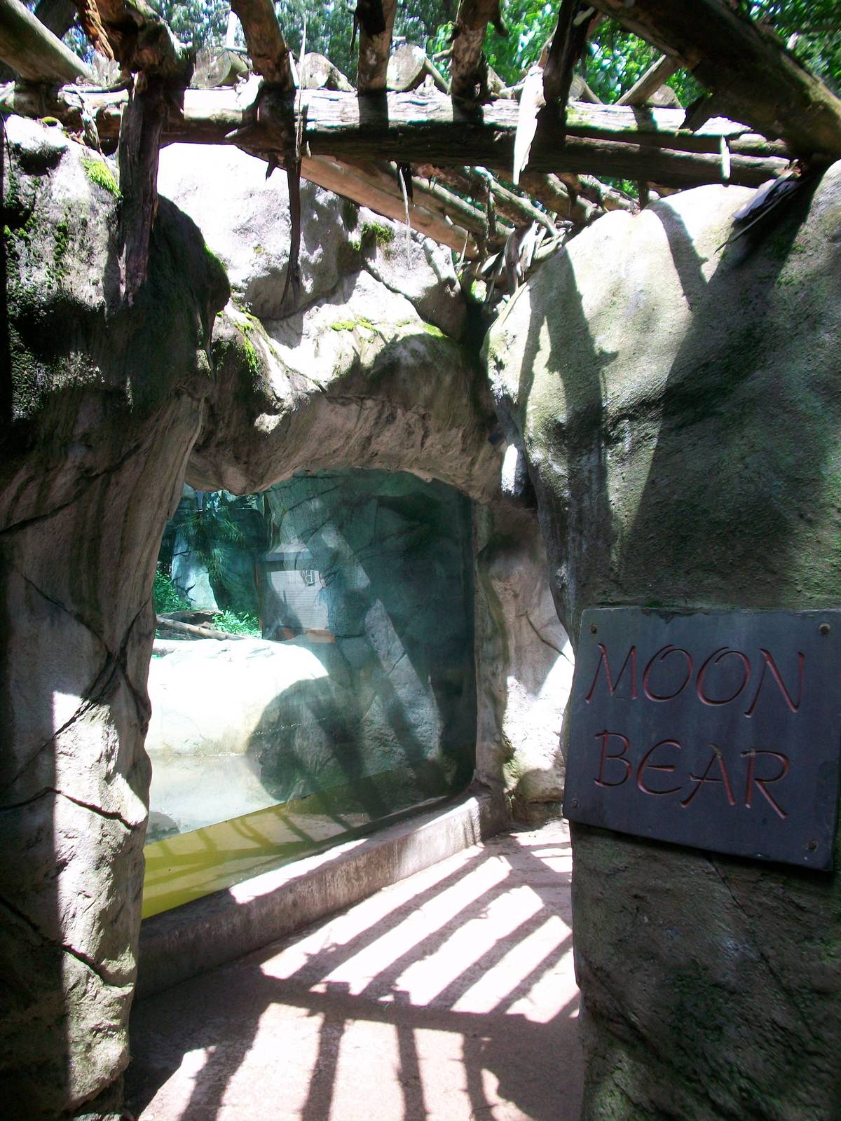 Asiatic Black Bear Exhibit - 2009