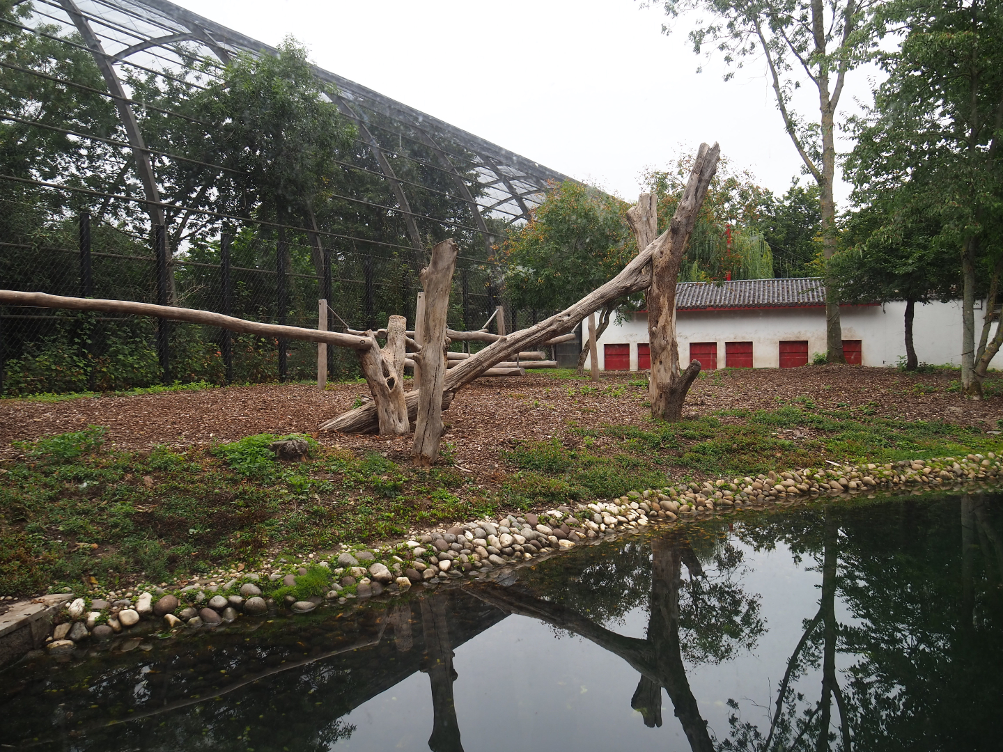 Asiatic black bear exhibit, 2020-09-03
