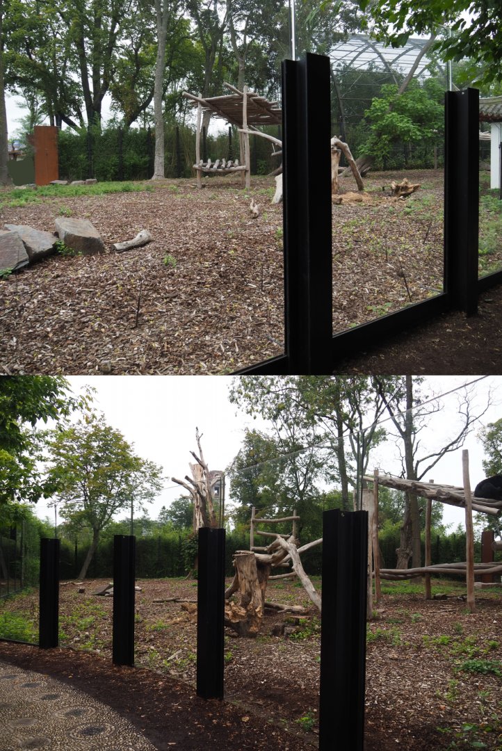 Asiatic black bear exhibit, 2020-09-03