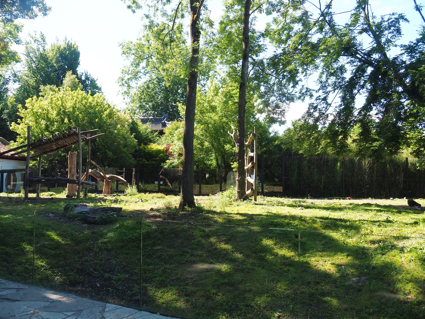 Asiatic black bear exhibit, 2022-06-28