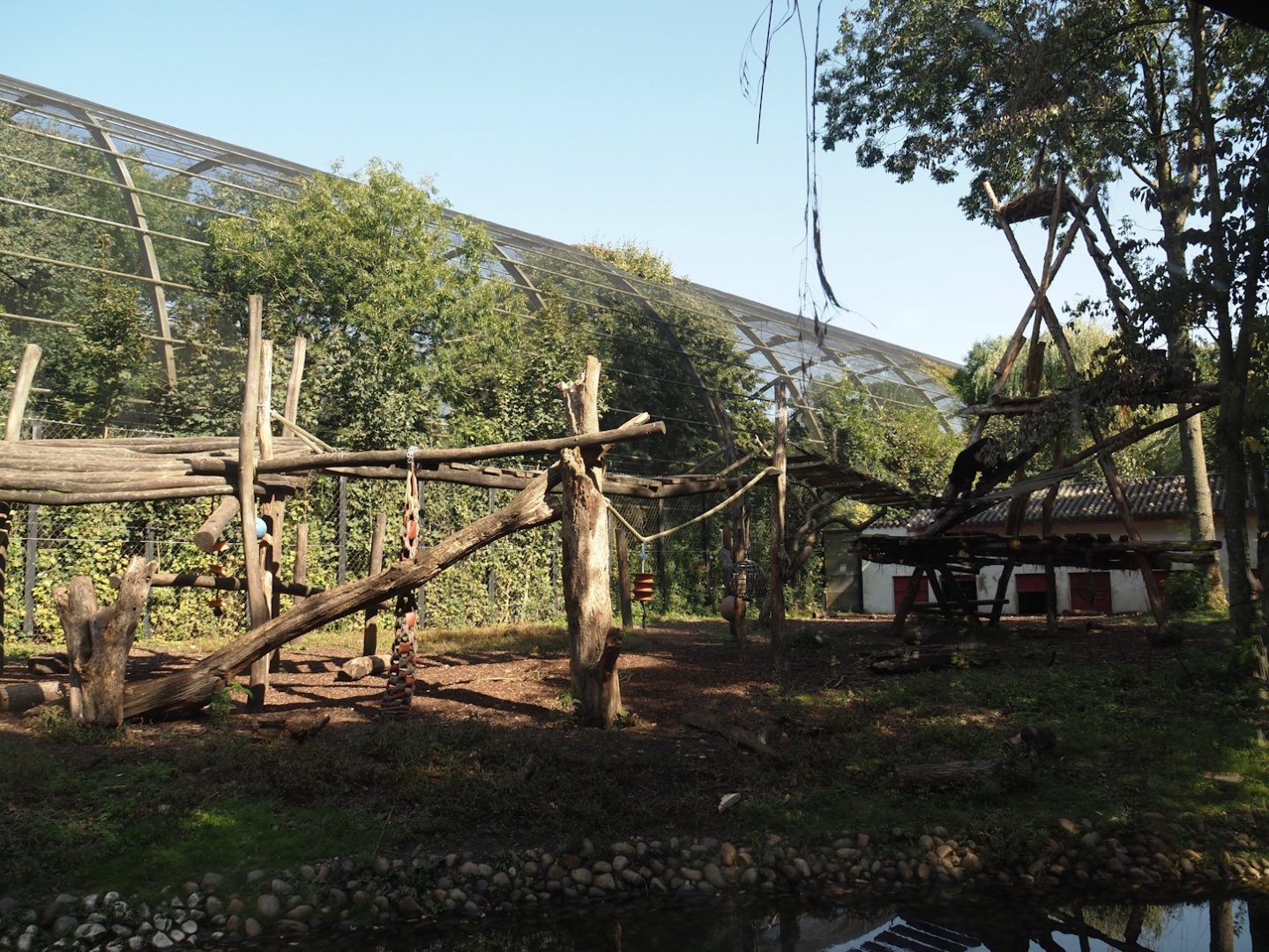 Asiatic black bear exhibit, 2024-09-17