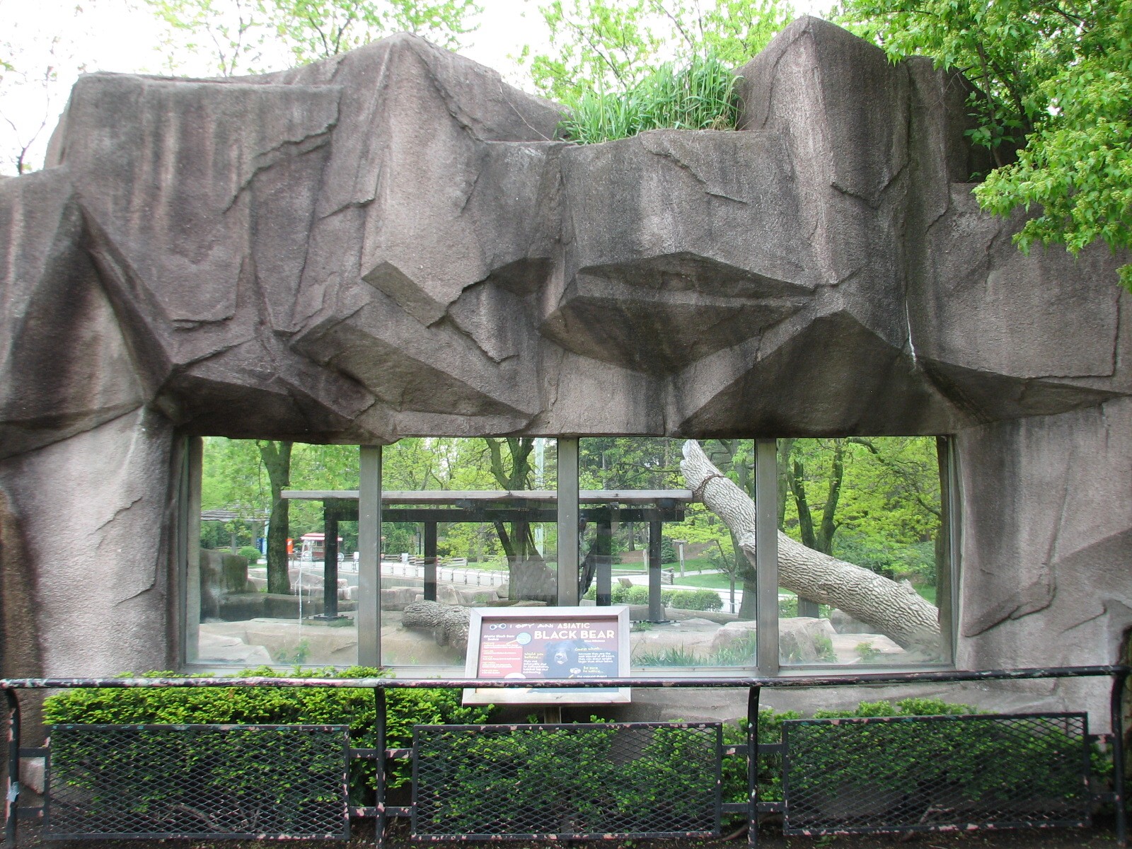 Asiatic Black Bear Exhibit - Exterior Viewing Window