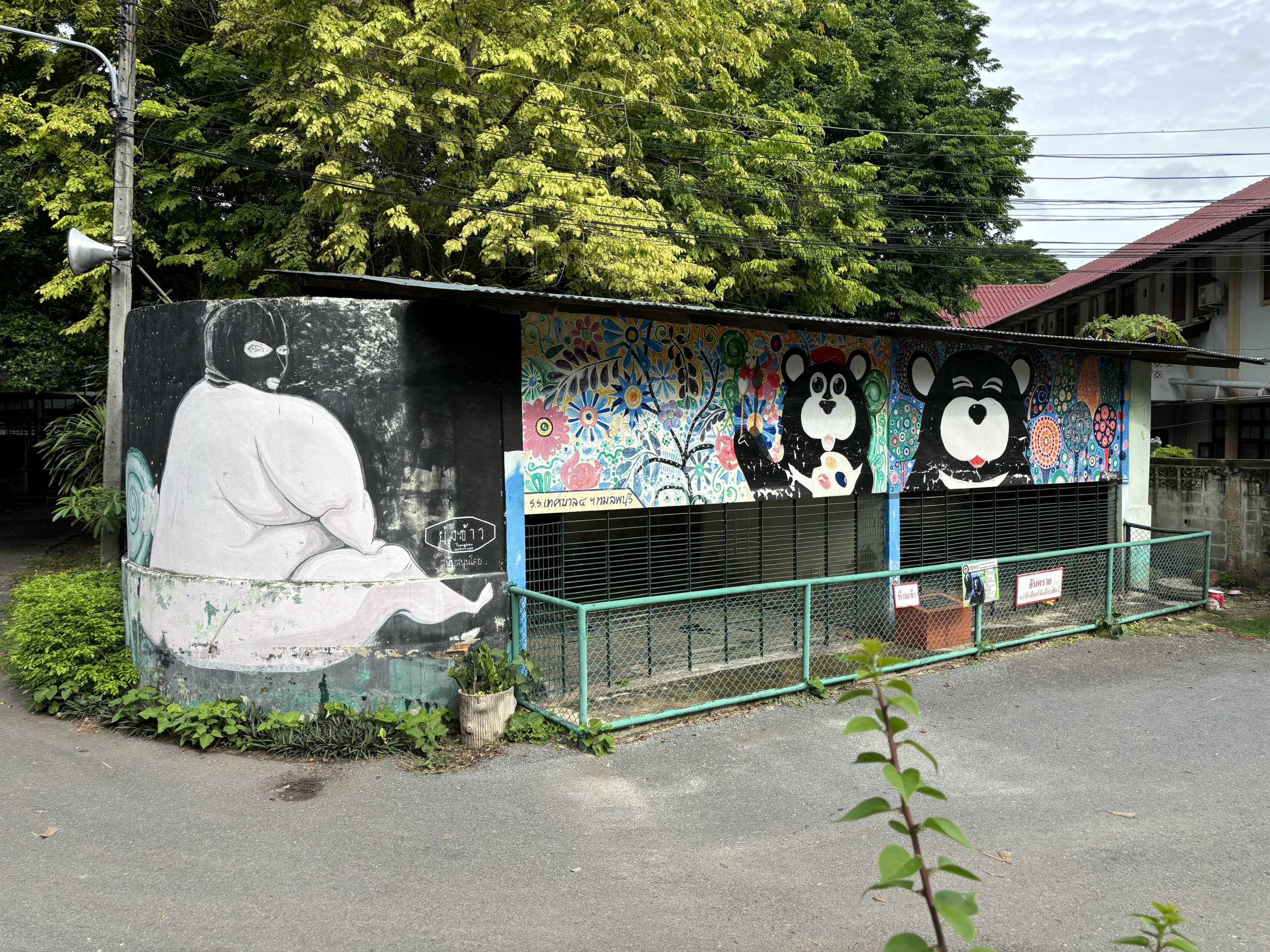 Asiatic Black Bear Exhibit - Lopburi Zoo