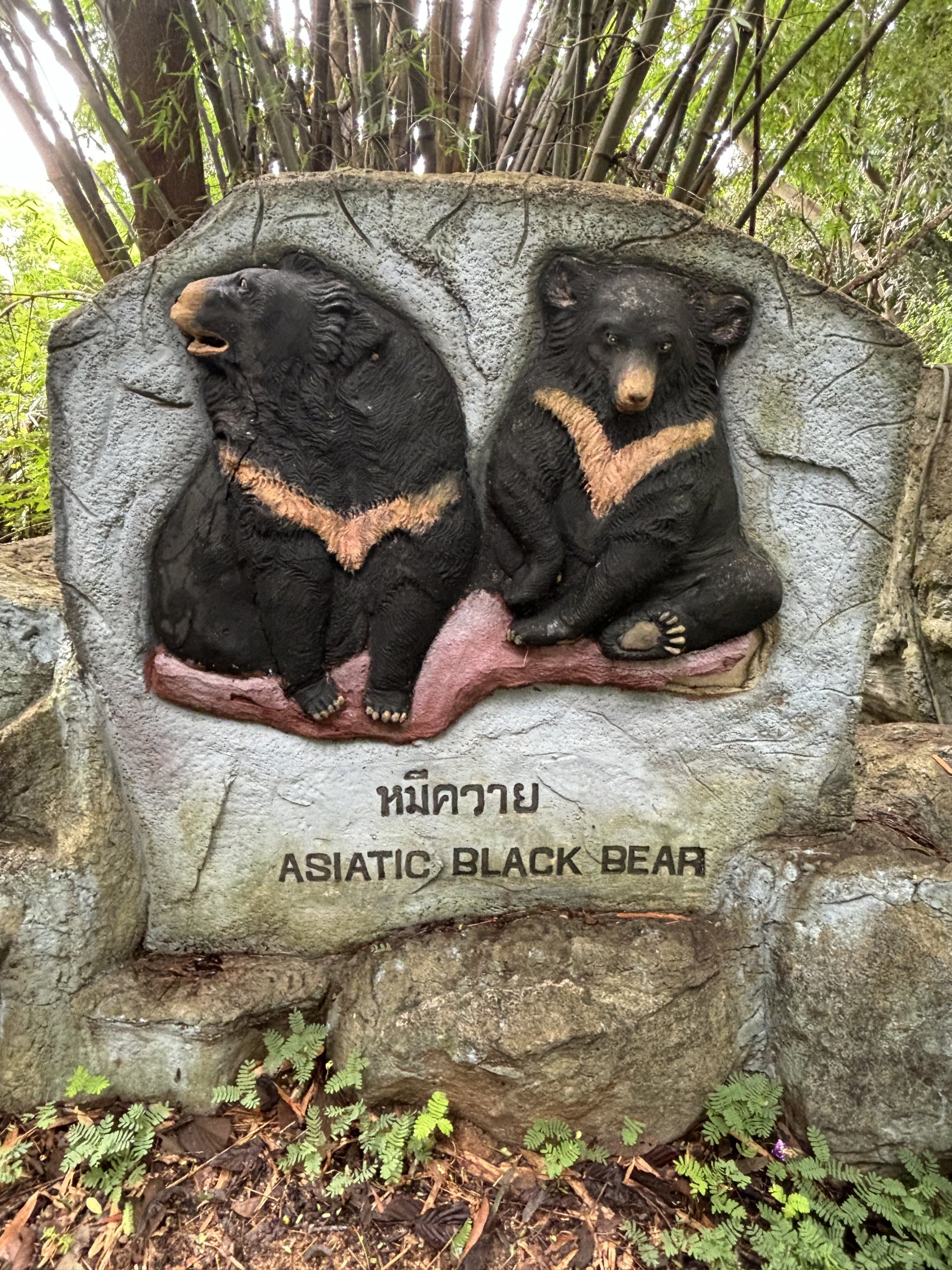 Asiatic Black Bear Exhibit Sign