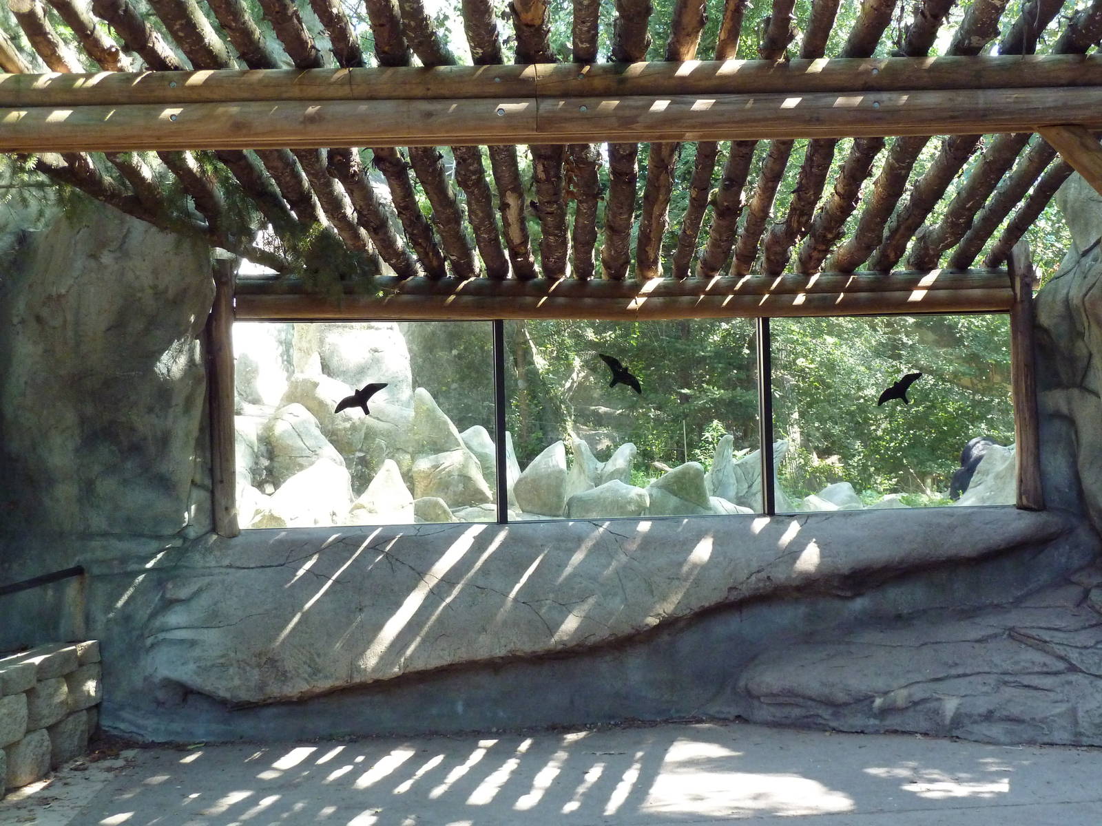 Asiatic Black Bear Exhibit