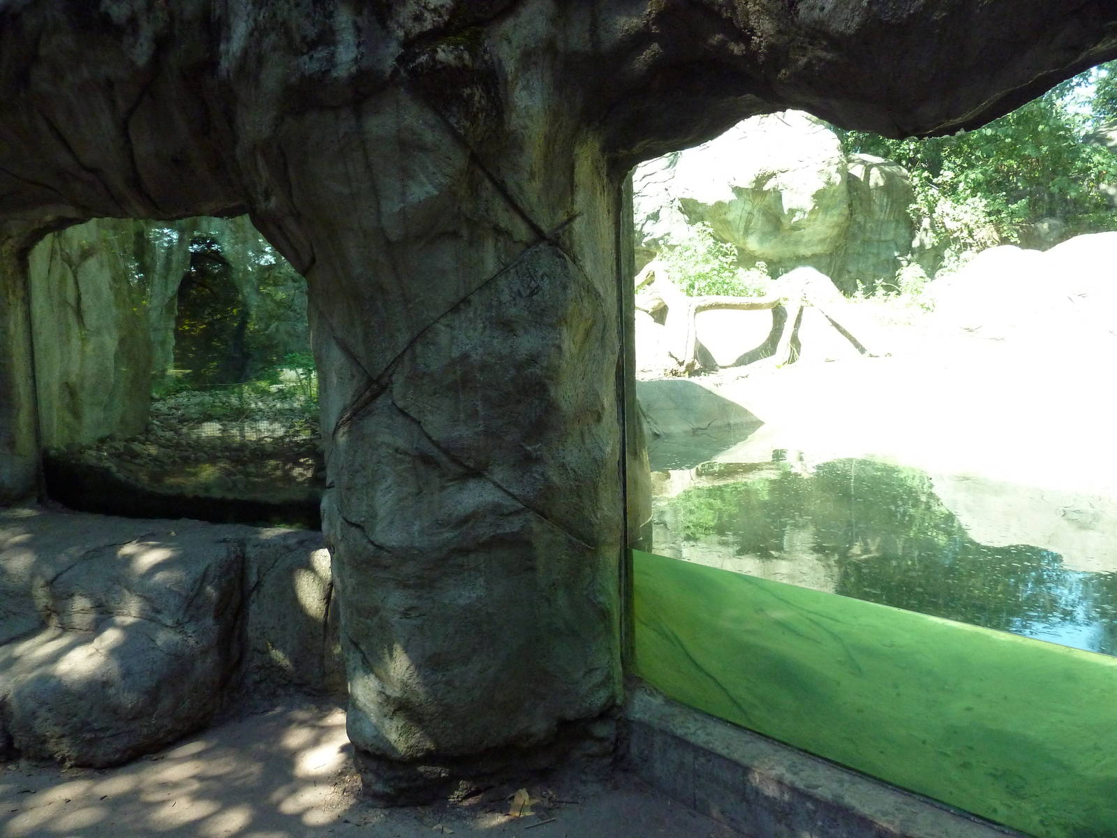 Asiatic Black Bear Exhibit