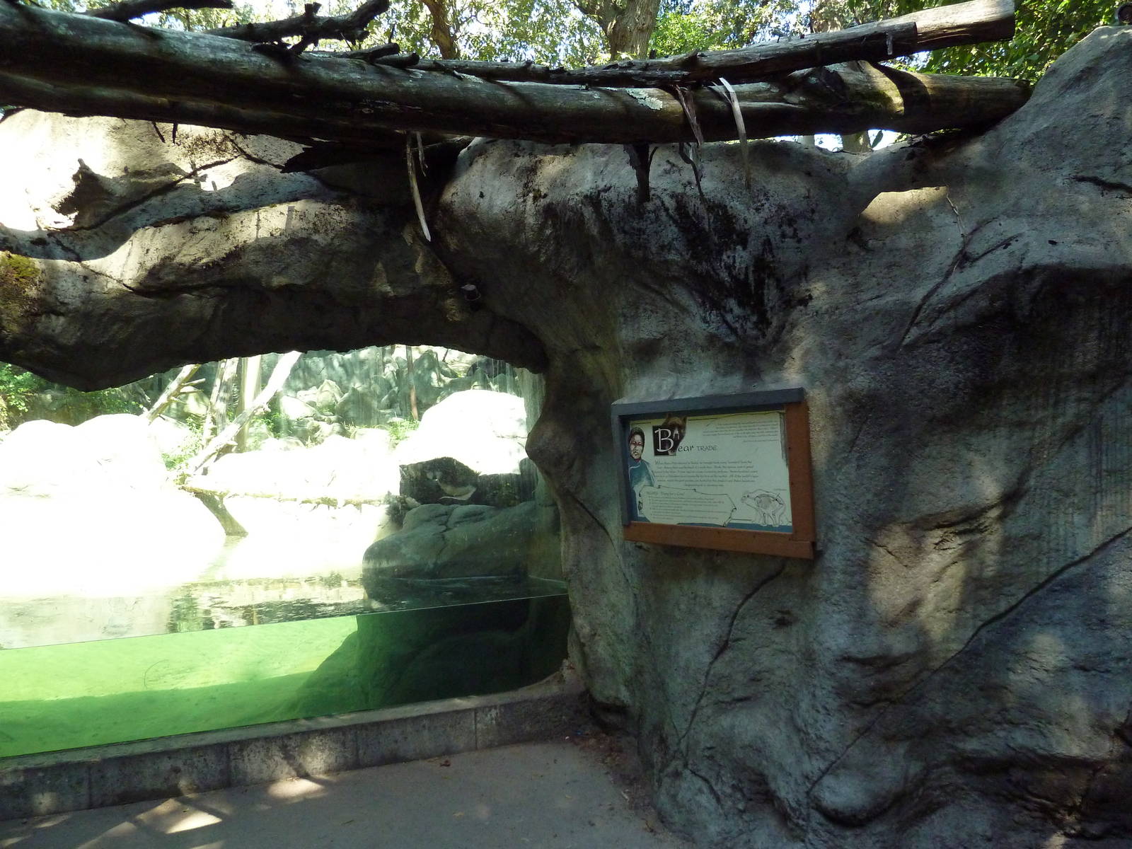 Asiatic Black Bear Exhibit