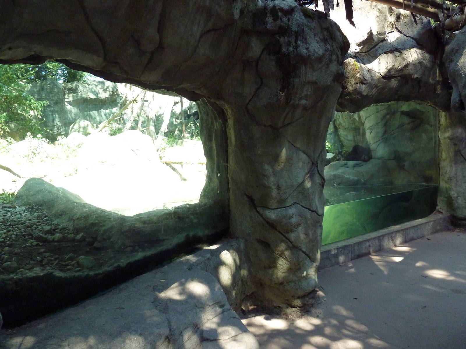 Asiatic Black Bear Exhibit