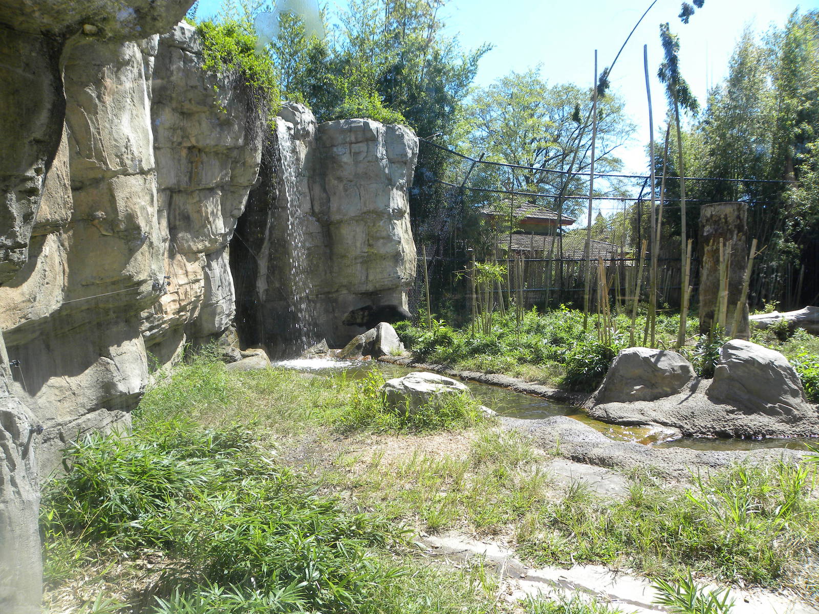 Asiatic Black Bear Exhibit