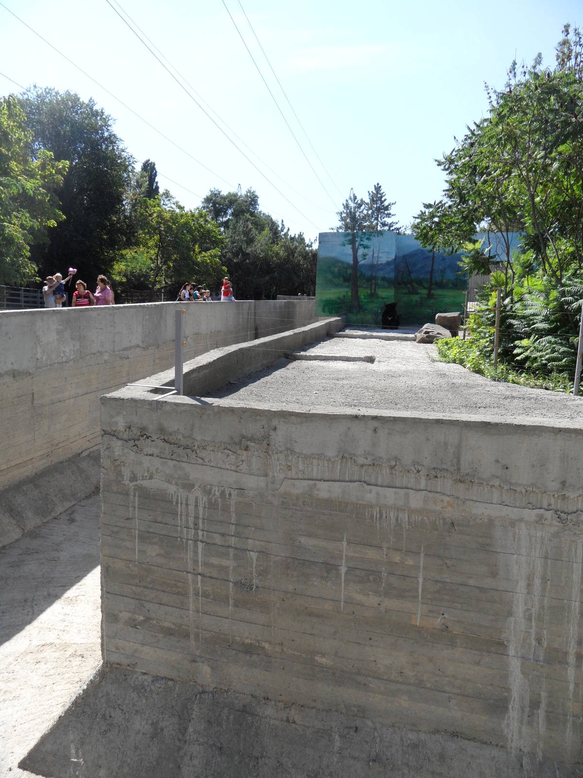Asiatic black bear exhibit