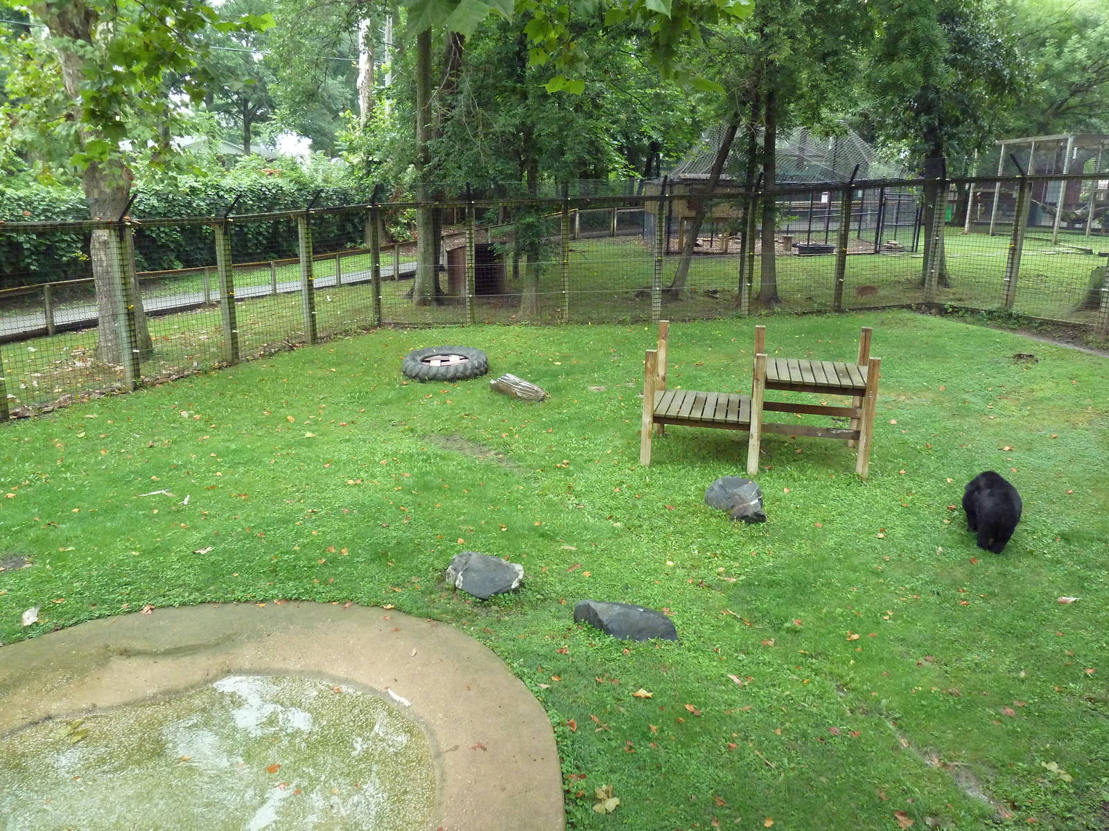 Asiatic Black Bear Exhibit